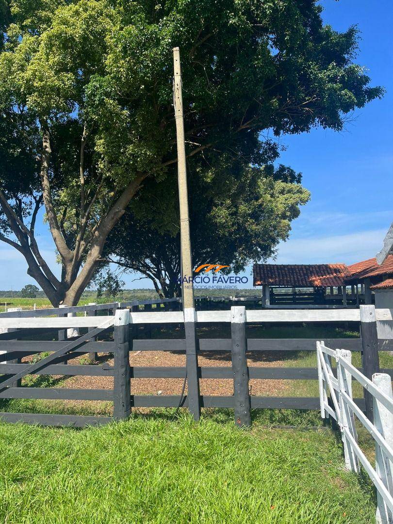 Fazenda, 322 hectares - Foto 10