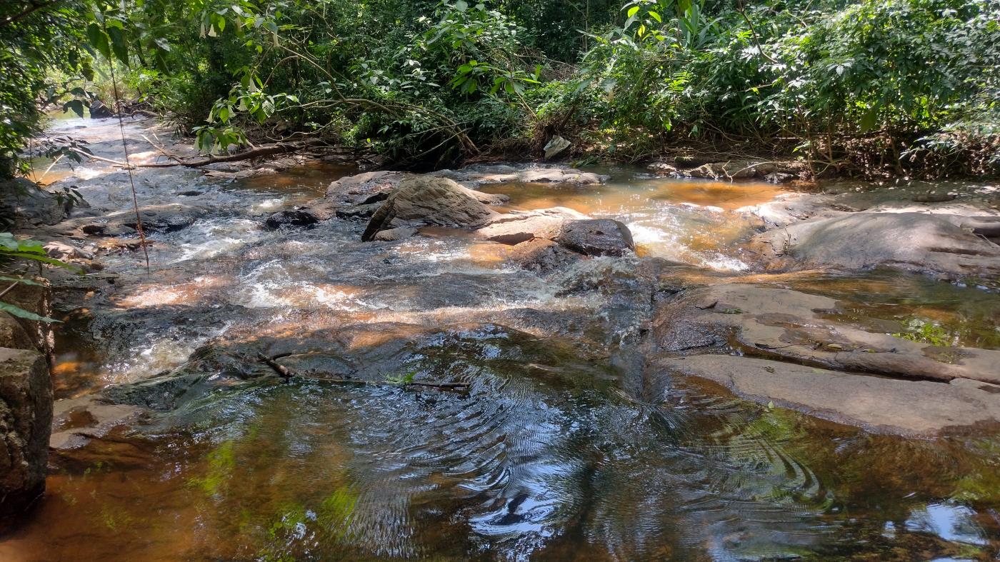 Fazenda à venda, 50000m² - Foto 2