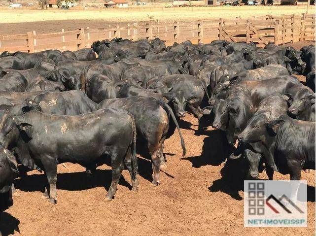 Fazenda à venda com 5 quartos, 500m² - Foto 2