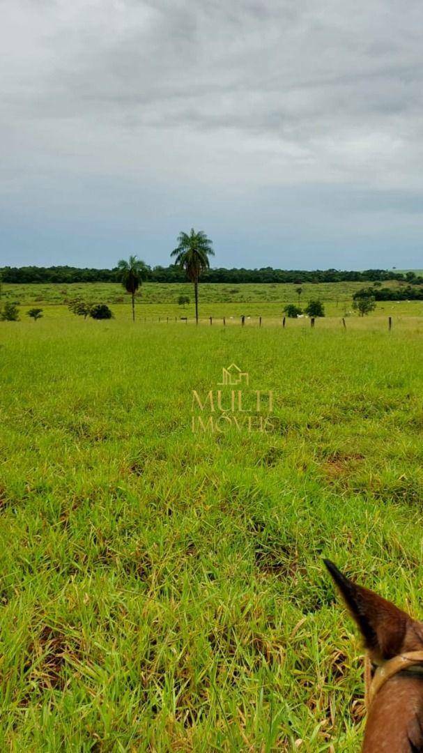 Fazenda à venda, 1500000M2 - Foto 1