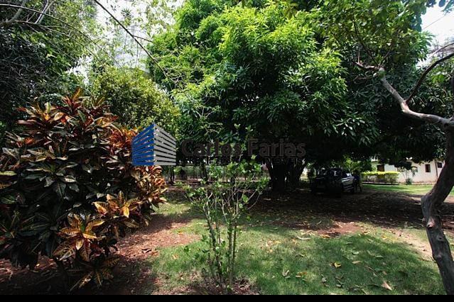 Terreno à venda com 3 quartos, 300m² - Foto 19