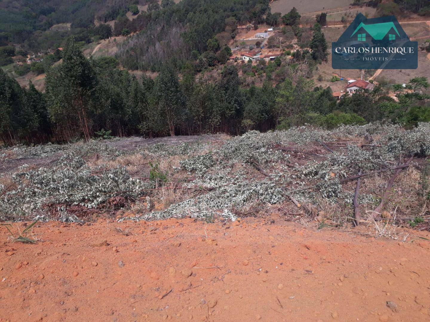 Terreno à venda, 10000M2 - Foto 8