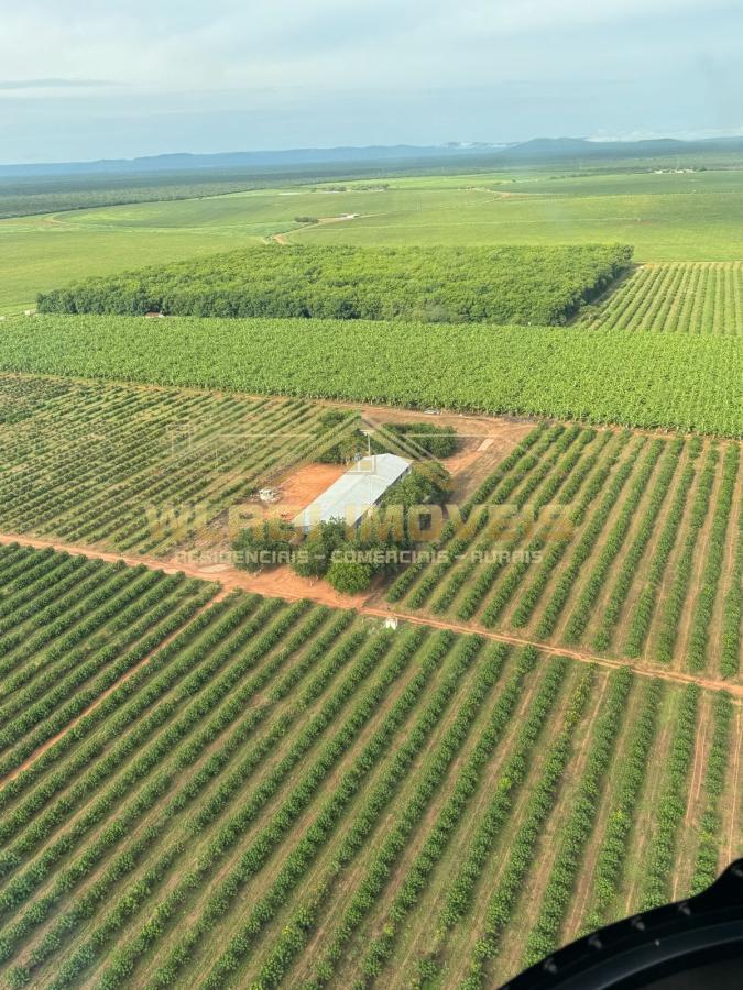 Fazenda à venda, 3500m² - Foto 1