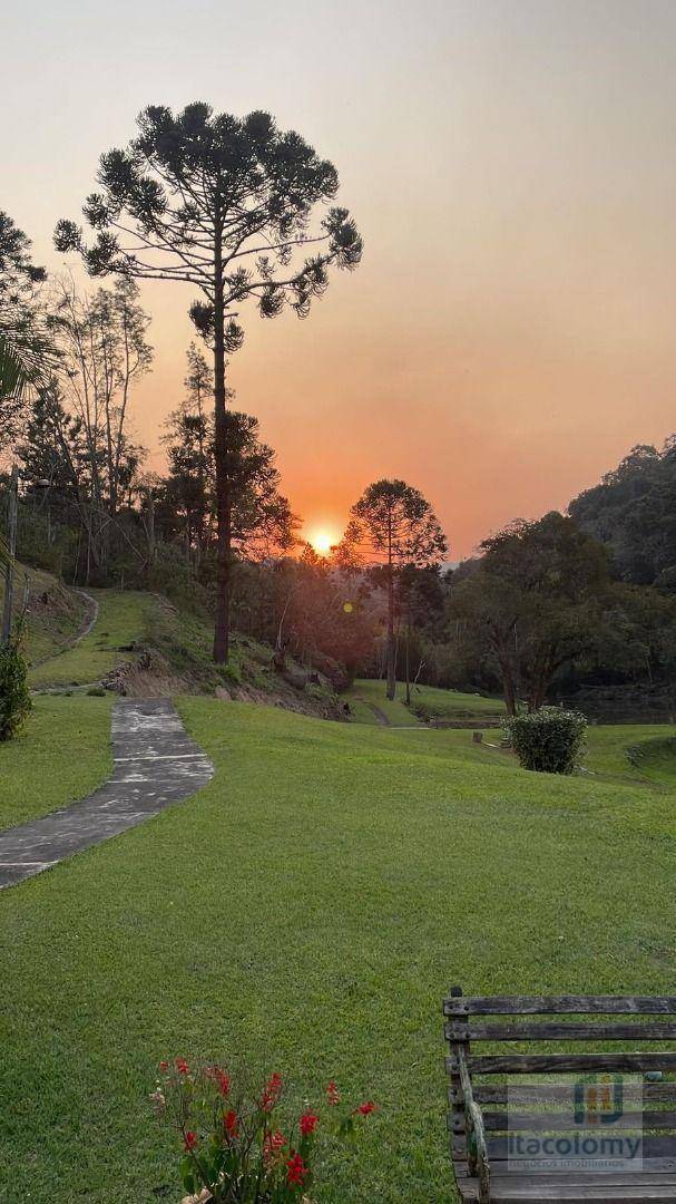 Chácara, 6 quartos, 34 hectares - Foto 2