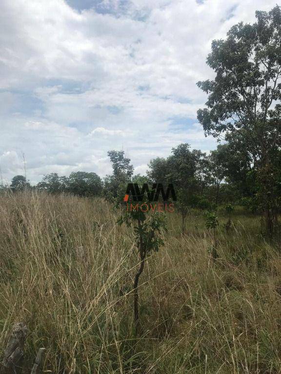 Fazenda à venda, 1852500M2 - Foto 5