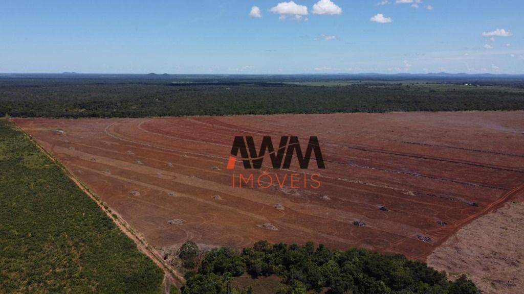 Fazenda-Sítio-Chácara, 3291 hectares - Foto 5