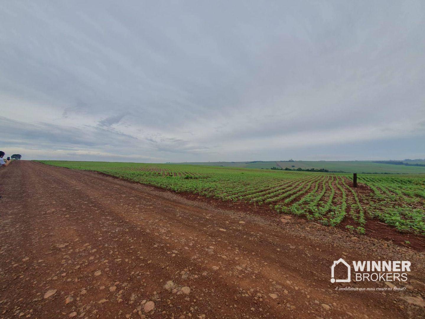 Sítio, 15 hectares - Foto 4