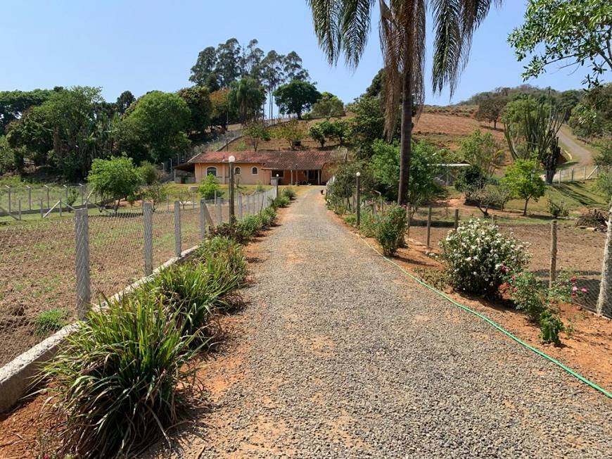 Fazenda à venda com 4 quartos, 45m² - Foto 7