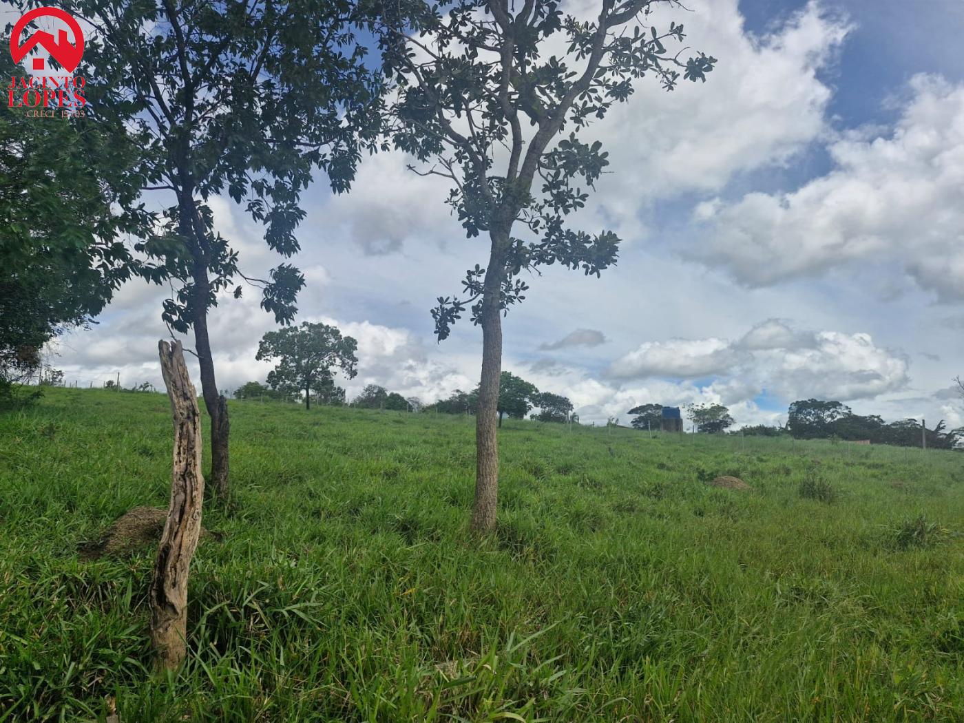 Fazenda à venda com 2 quartos, 120m² - Foto 36