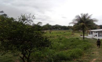 Sítio à venda com 3 quartos, 10000m² - Foto 14
