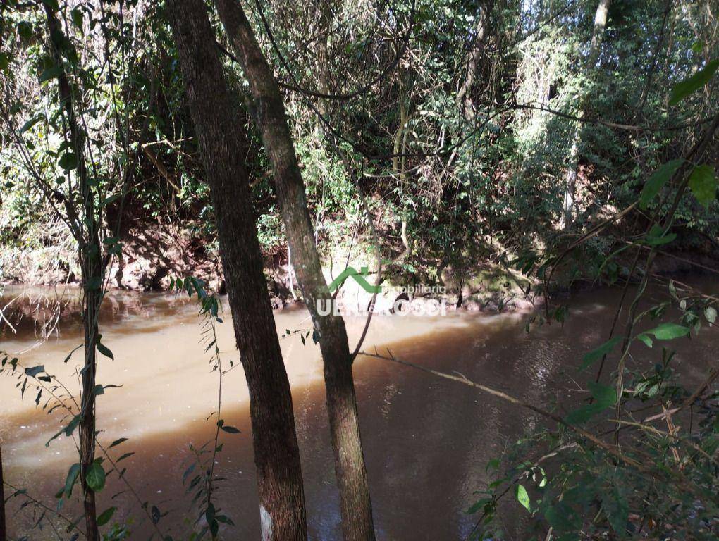 Chácara à venda, 1000M2 - Foto 3