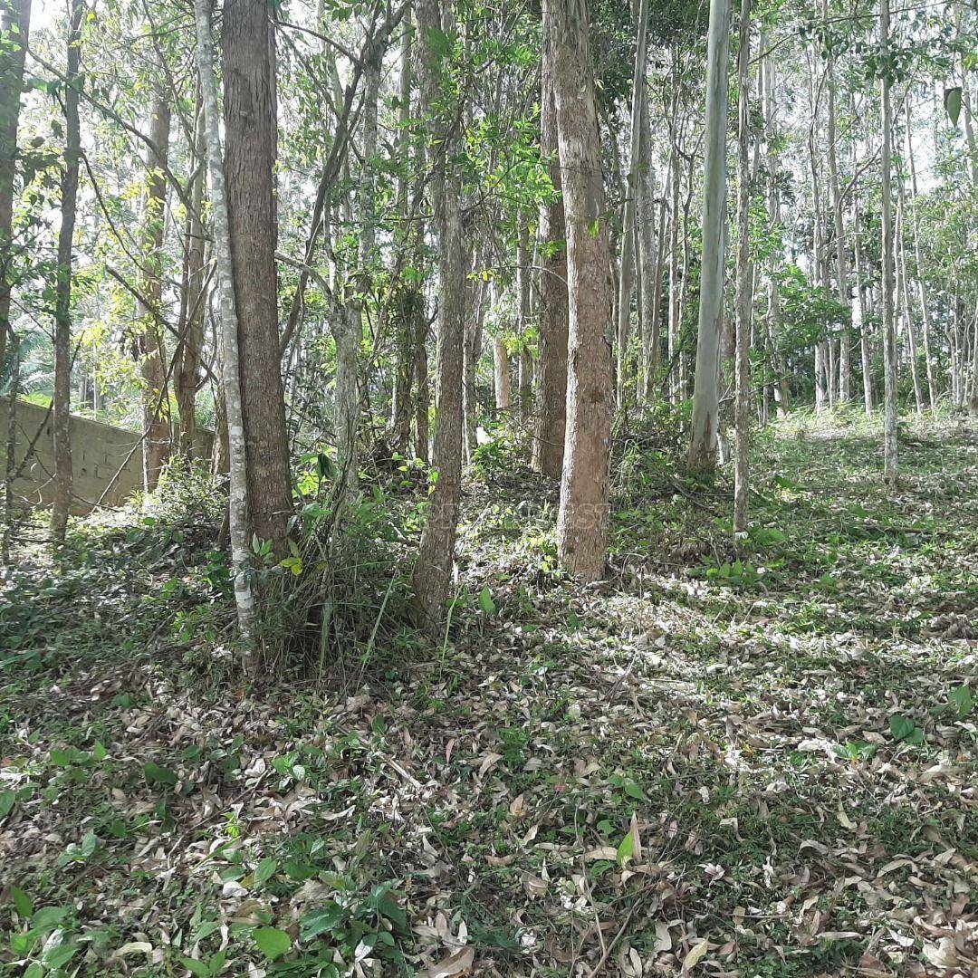 Loteamento e Condomínio à venda, 800M2 - Foto 3