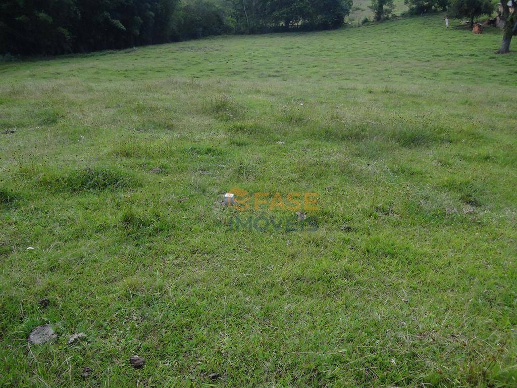 Terreno, 10 hectares - Foto 8