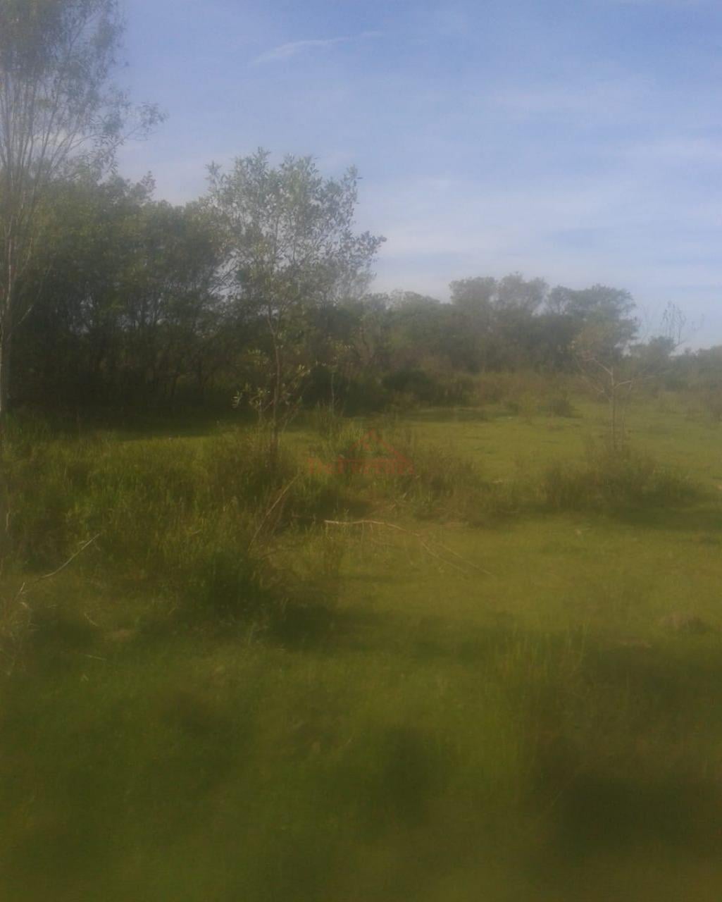 Fazenda-Sítio-Chácara - Foto 7