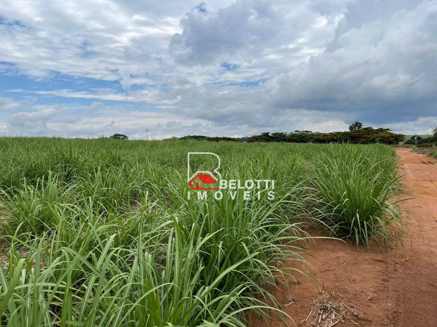 Fazenda à venda, 5203000M2 - Foto 4