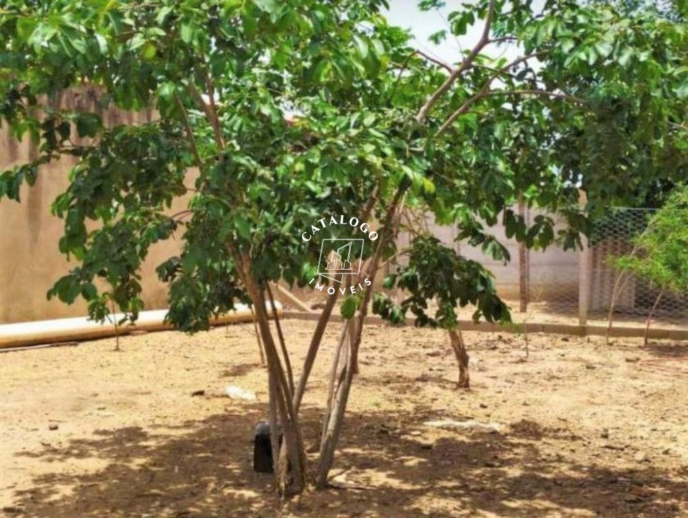 Fazenda à venda com 4 quartos, 1000m² - Foto 8