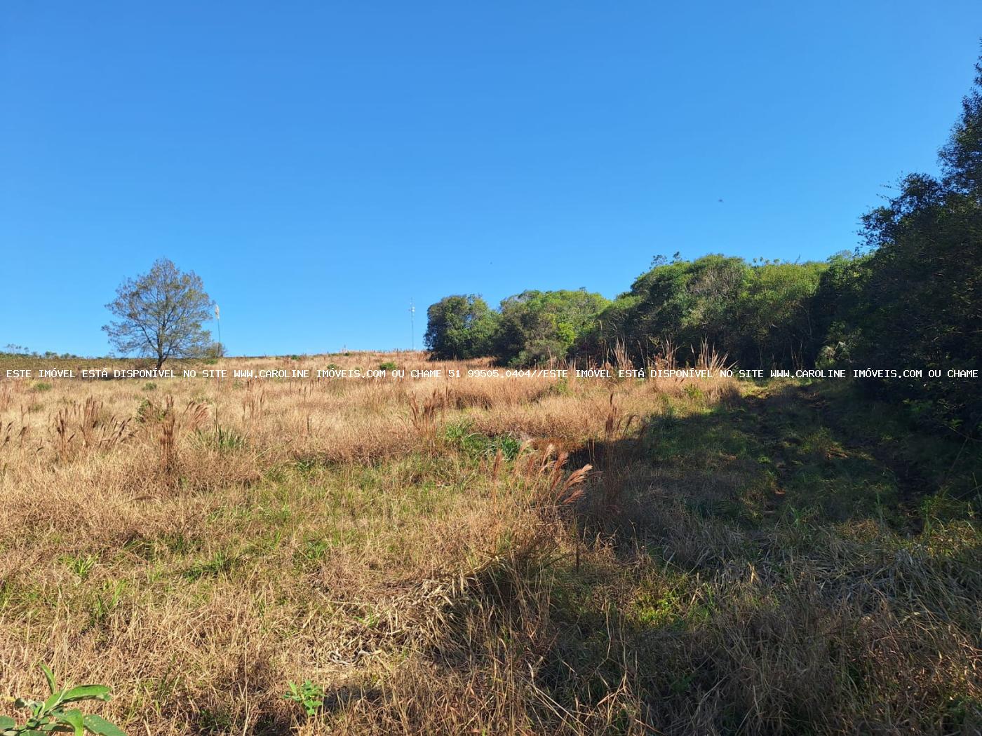 Loteamento e Condomínio à venda, 50000m² - Foto 9