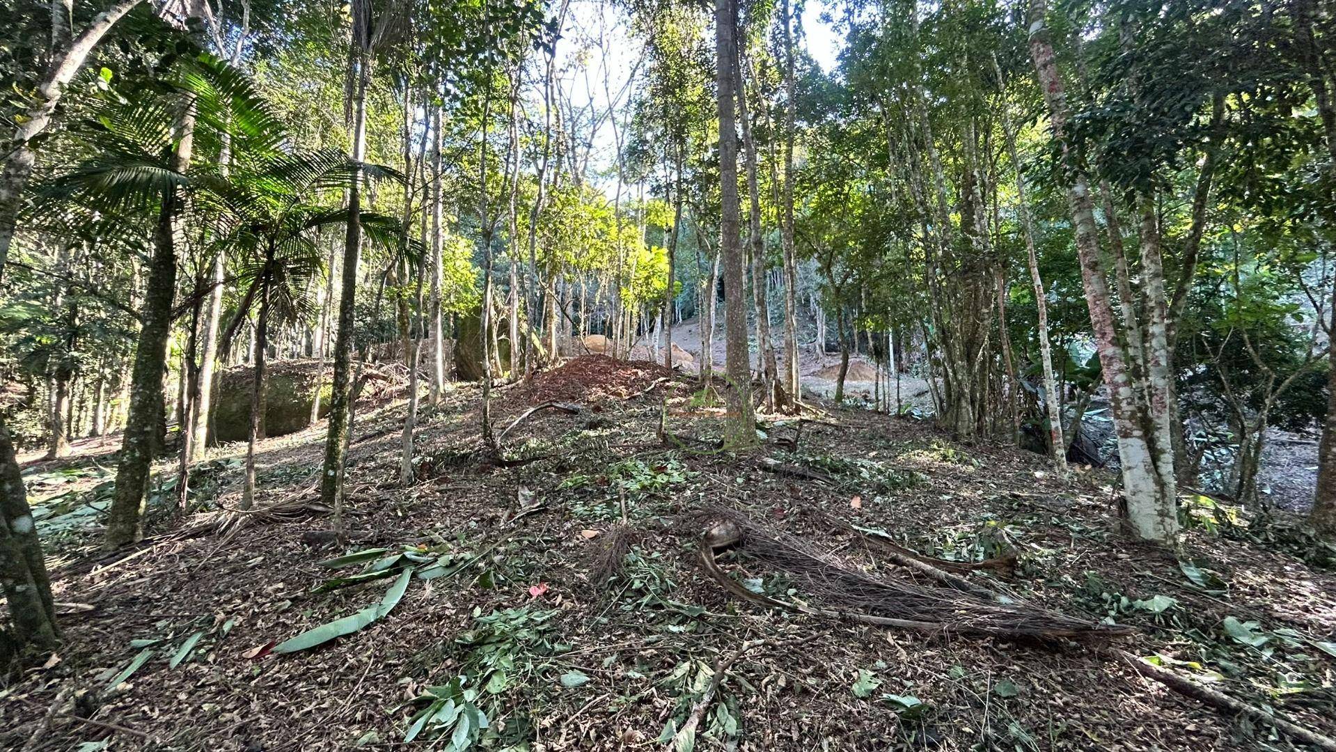 Terreno, 10000 m² - Foto 12