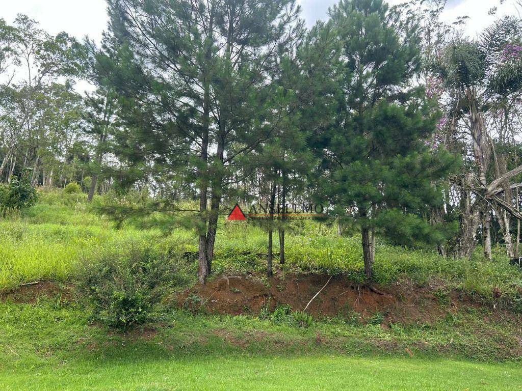 Chácara à venda com 3 quartos, 200m² - Foto 9