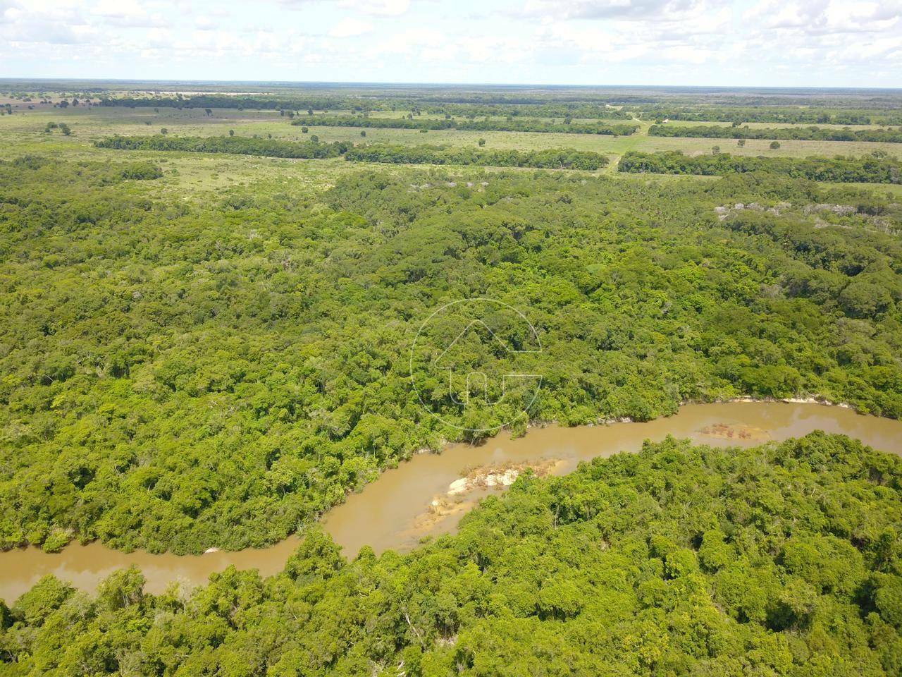 Fazenda-Sítio-Chácara, 1452 hectares - Foto 3