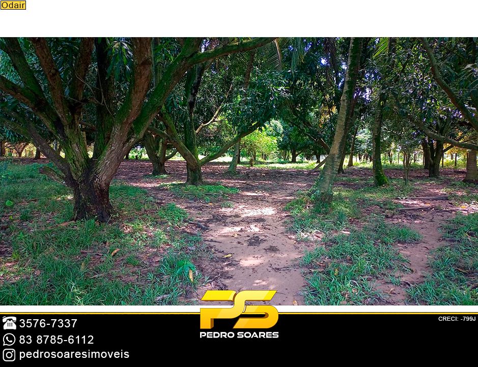 Fazenda-Sítio-Chácara, 218 hectares - Foto 3