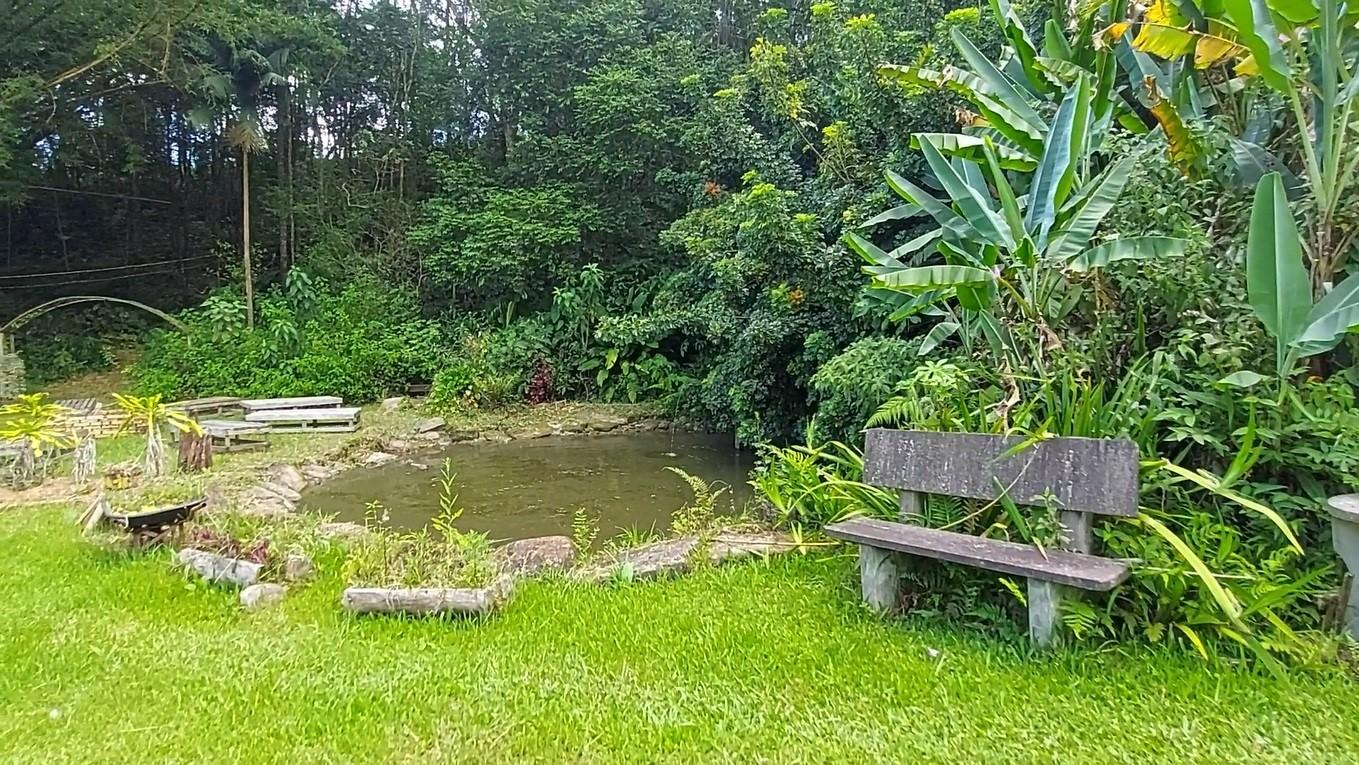 Fazenda à venda com 8 quartos, 120000m² - Foto 37