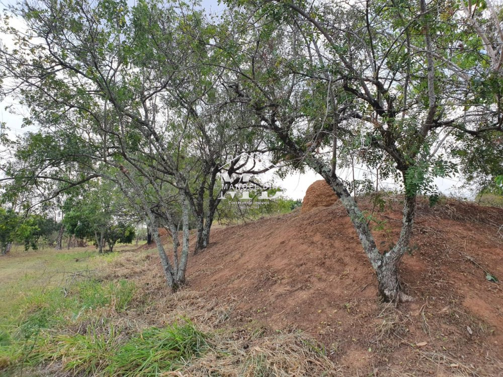 Fazenda à venda, 25068m² - Foto 9