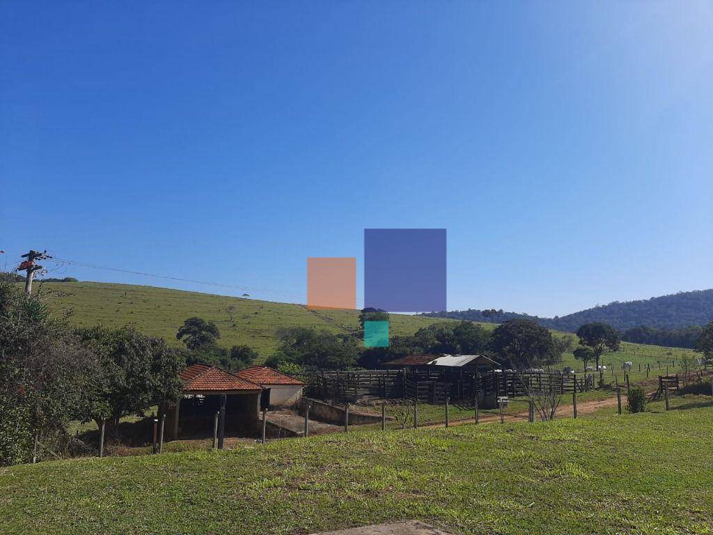 Fazenda, 260 hectares - Foto 4