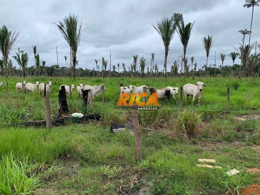 Fazenda à venda, 1150000M2 - Foto 51