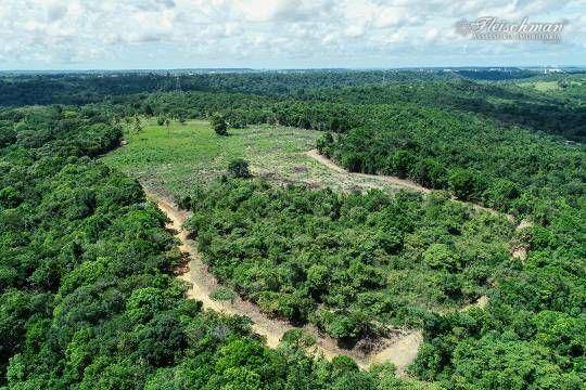 Chácara à venda com 9 quartos, 440000M2 - Foto 5