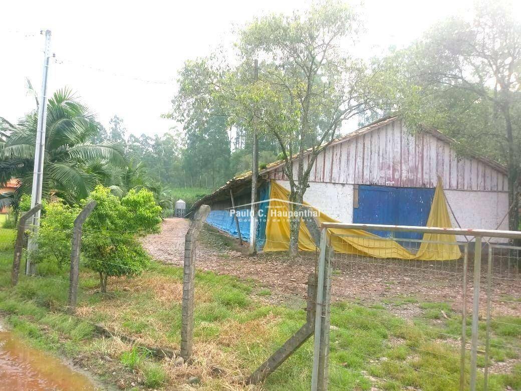 Chácara à venda com 4 quartos, 15000M2 - Foto 15