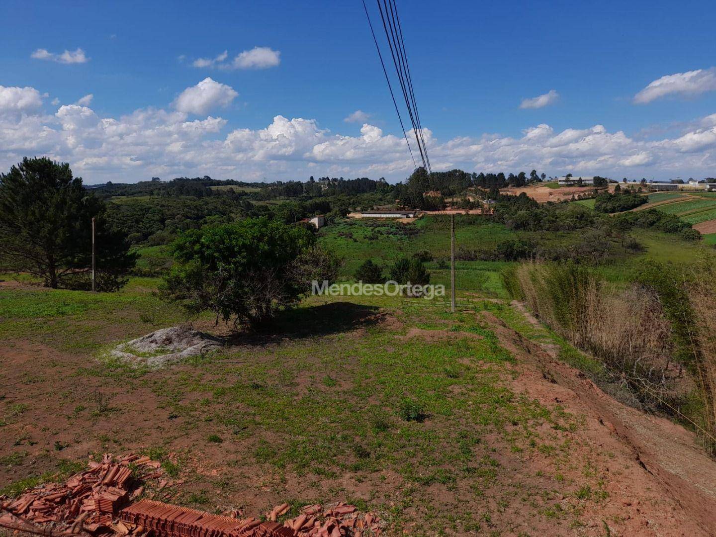 Terreno, 3 hectares - Foto 8