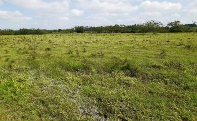 Terreno à venda, 106000m² - Foto 2
