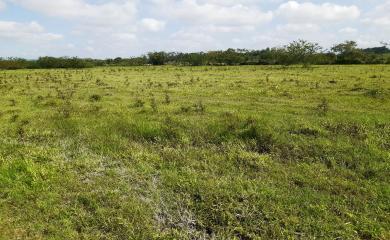 Fazenda à venda, 106000m² - Foto 2