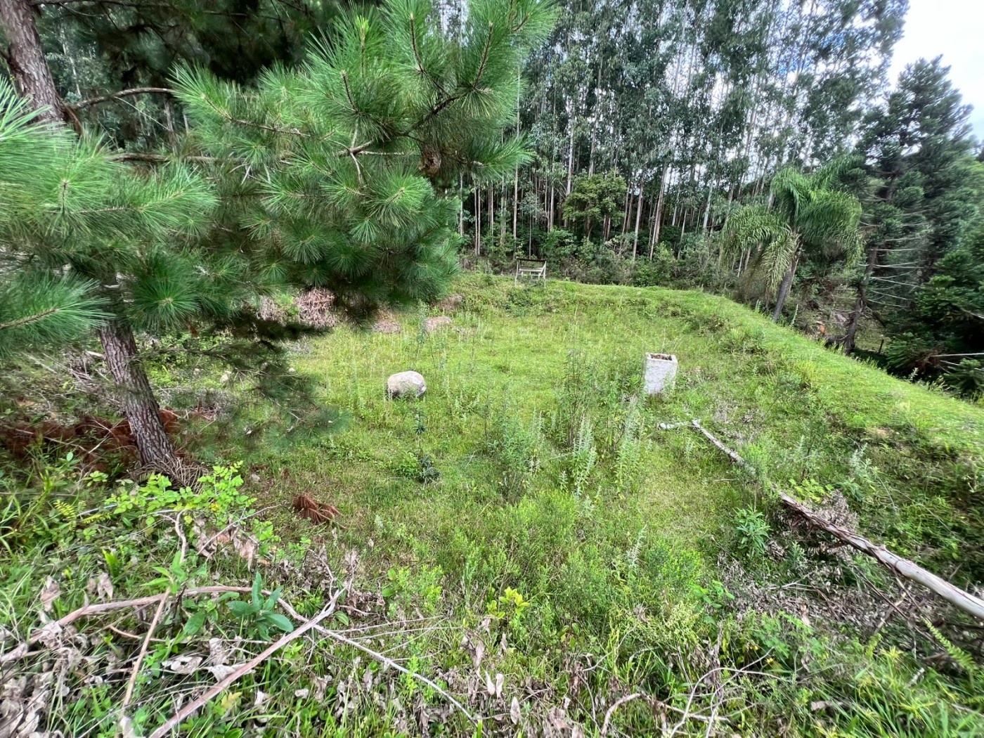 Chácara à venda, 18100m² - Foto 5
