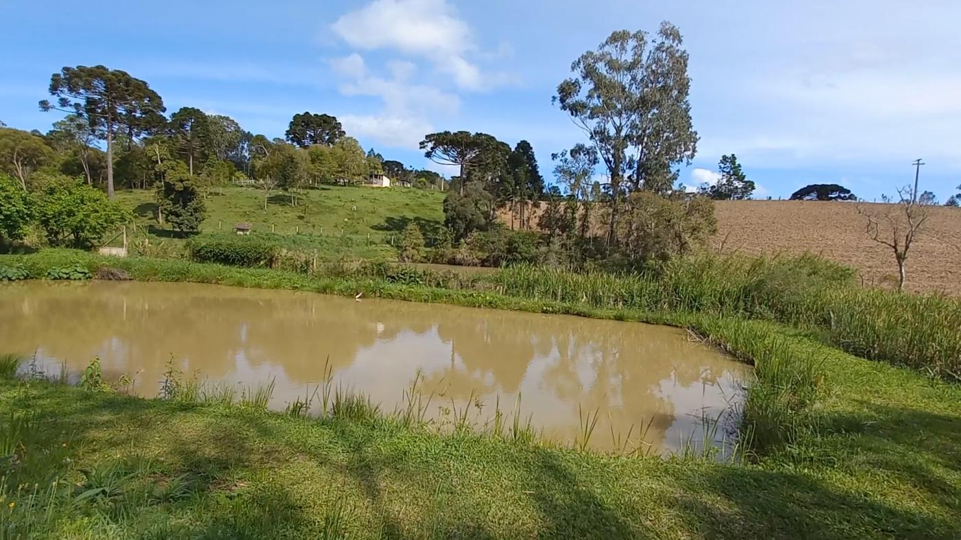 Fazenda à venda, 9075m² - Foto 24