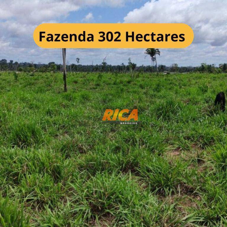 Fazenda-Sítio-Chácara, 302 hectares - Foto 1