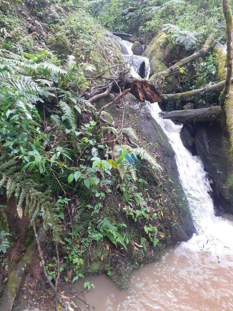 Terreno à venda, 7200M2 - Foto 1