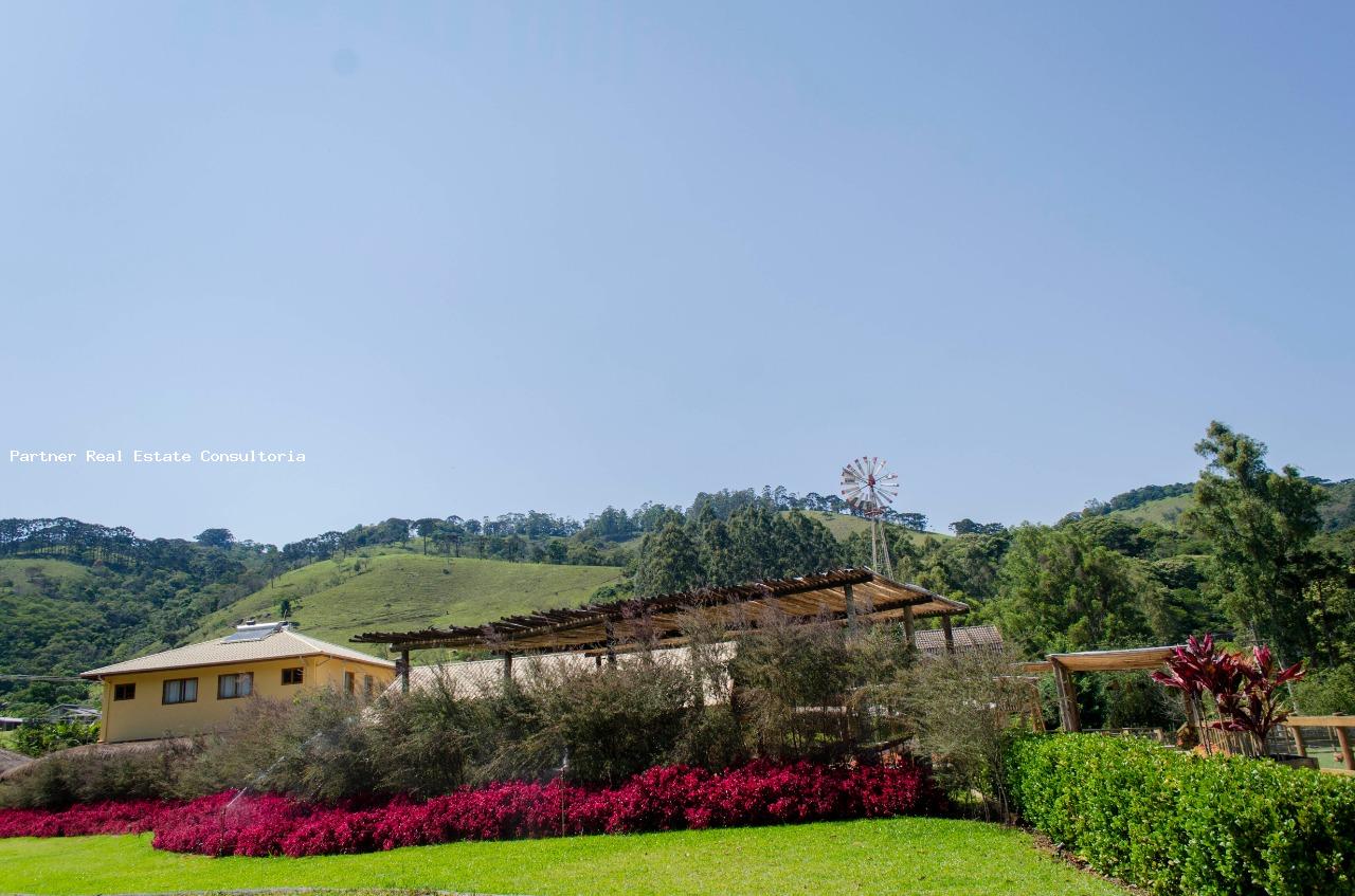 Fazenda à venda com 5 quartos, 4m² - Foto 10