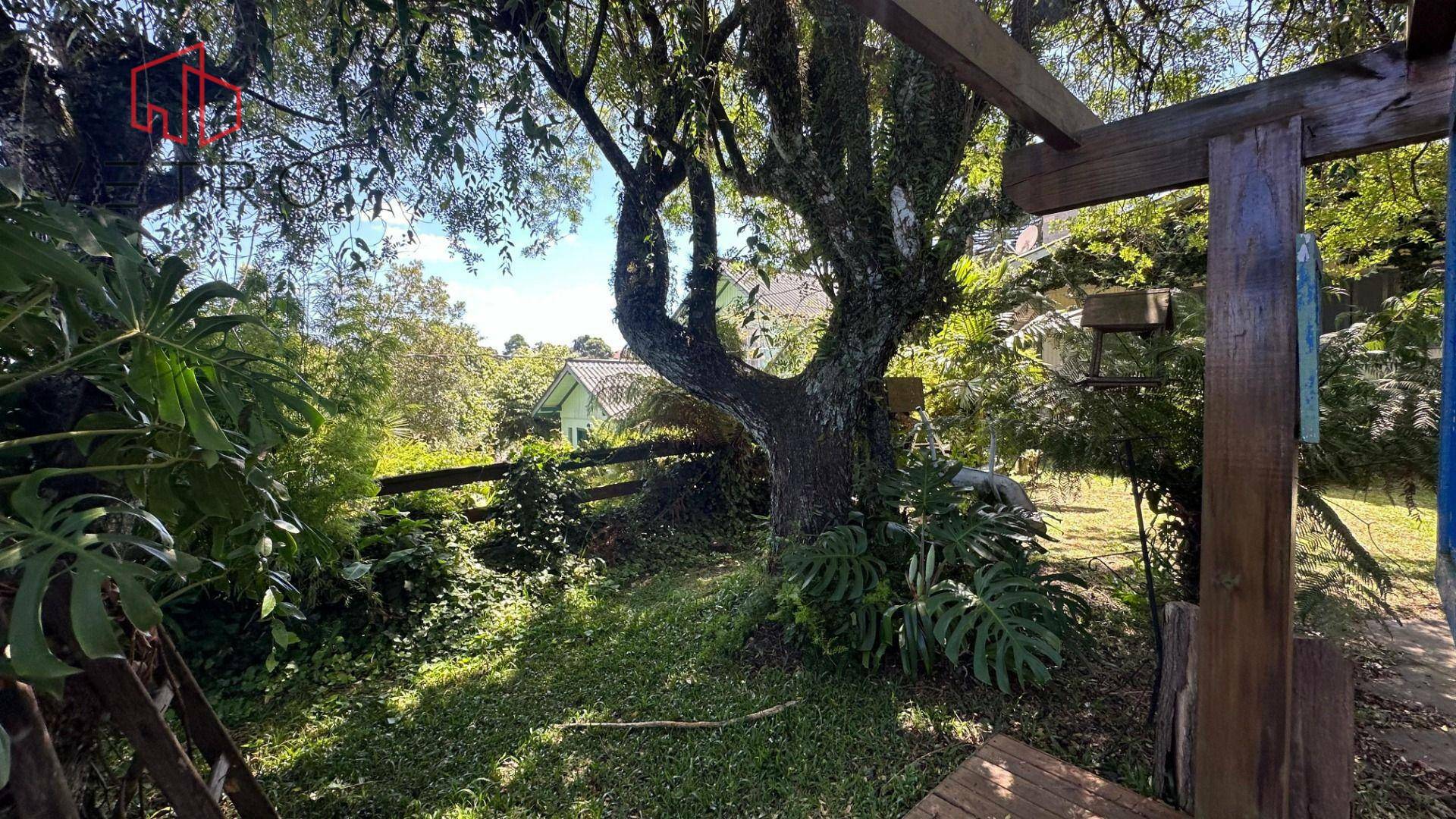 Terreno à venda, 490M2 - Foto 3