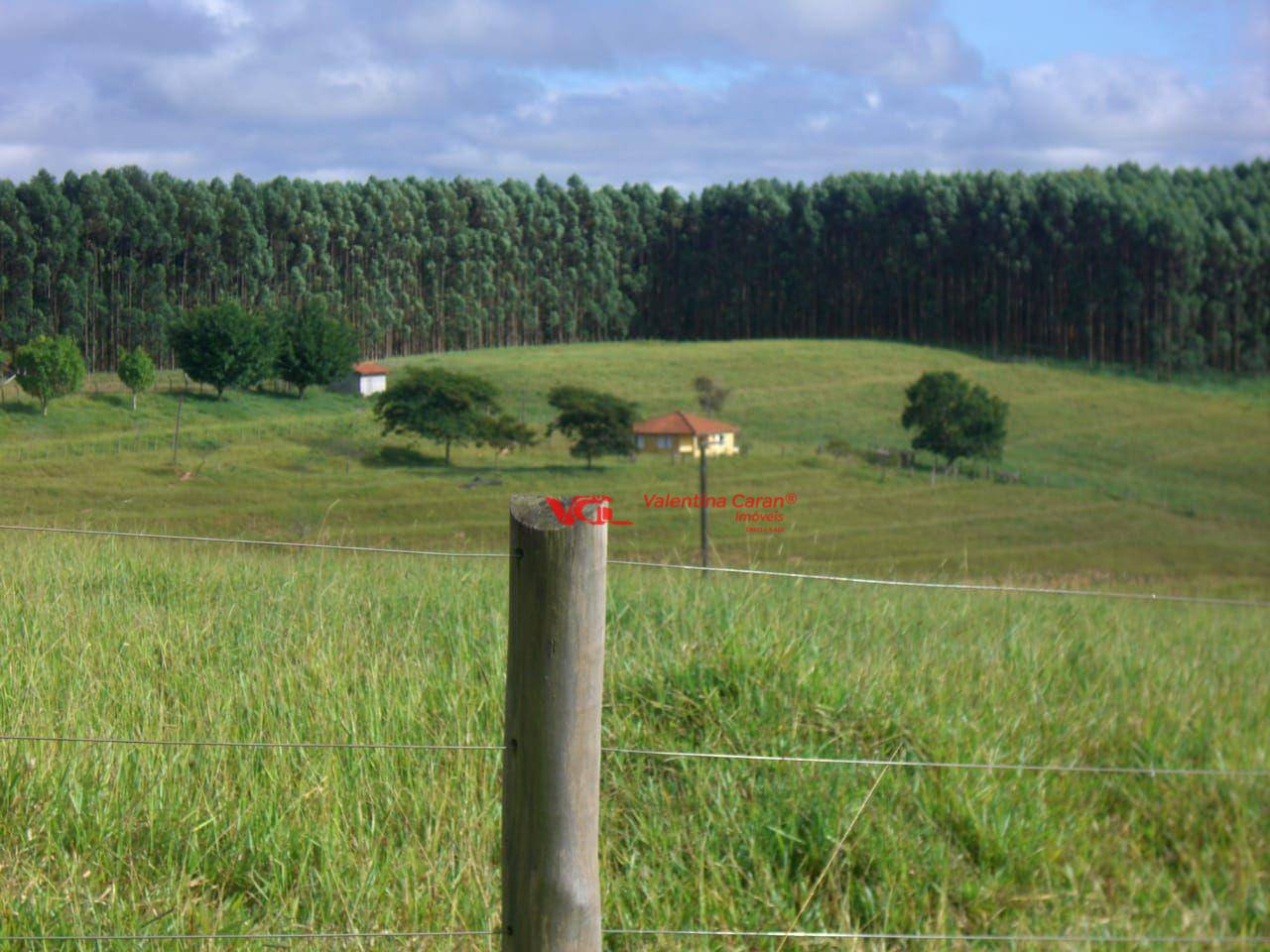 Fazenda à venda com 3 quartos, 6250m² - Foto 57