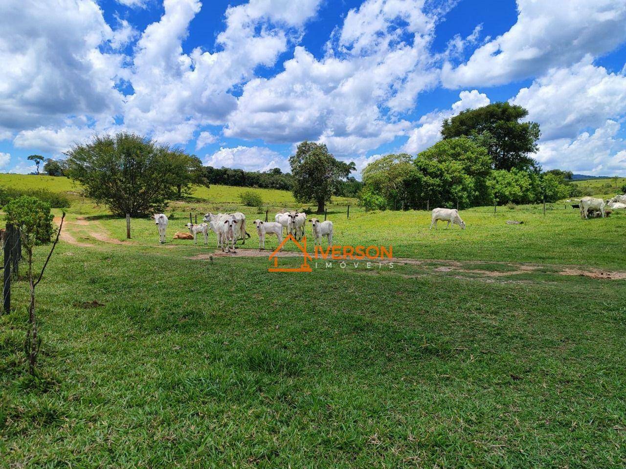 Fazenda à venda com 6 quartos, 1000m² - Foto 18