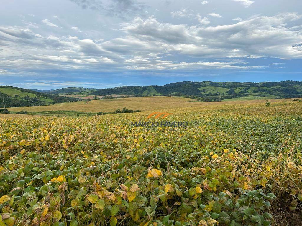 Fazenda à venda, 1403600M2 - Foto 4