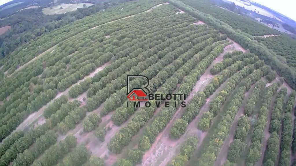 Fazenda, 663 hectares - Foto 3