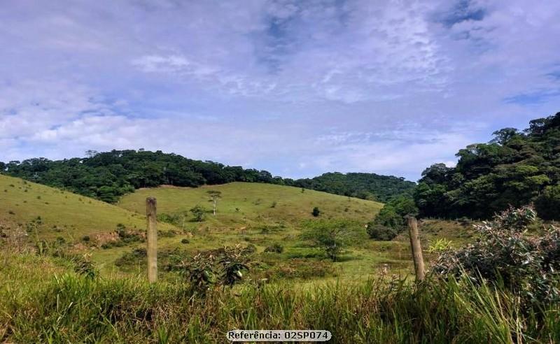 Fazenda à venda com 3 quartos, 41000m² - Foto 9