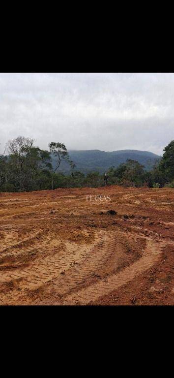 Loteamento e Condomínio, 5000 m² - Foto 2