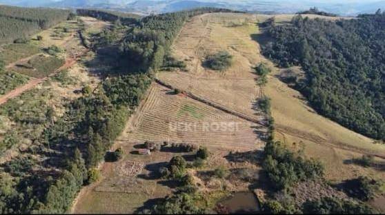 Fazenda, 286 hectares - Foto 23