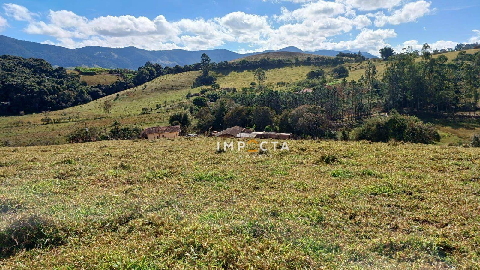 Sítio à venda com 3 quartos, 82038M2 - Foto 5