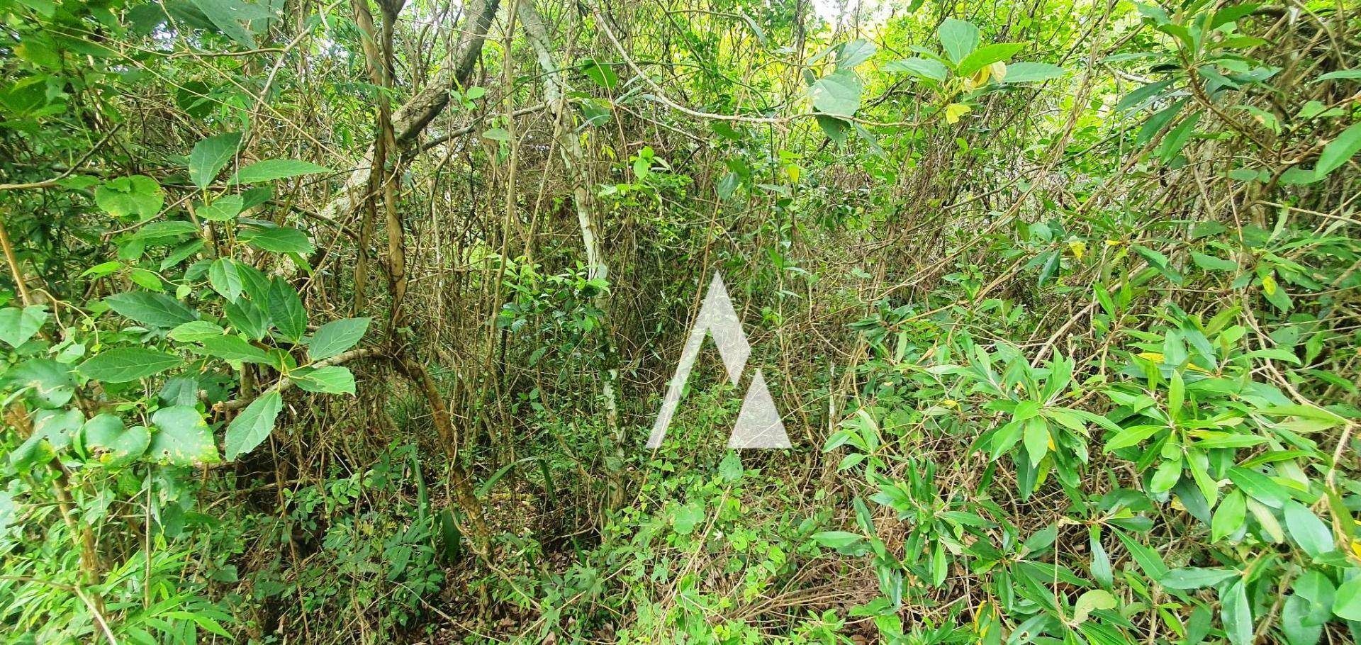 Terreno à venda, 1821M2 - Foto 9