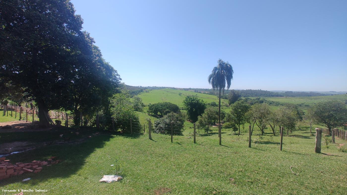 Fazenda à venda com 2 quartos, 5076m² - Foto 4